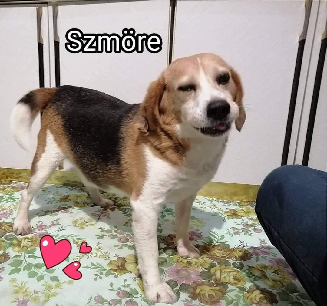 szmore